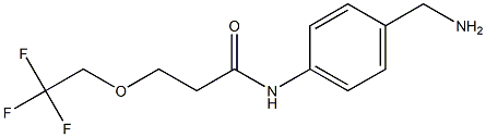 N-[4-(aminomethyl)phenyl]-3-(2,2,2-trifluoroethoxy)propanamide Structure