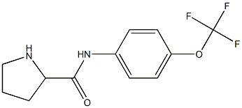 N-[4-(trifluoromethoxy)phenyl]pyrrolidine-2-carboxamide 化学構造式