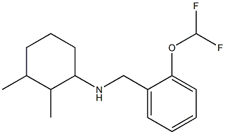 N-{[2-(difluoromethoxy)phenyl]methyl}-2,3-dimethylcyclohexan-1-amine 化学構造式