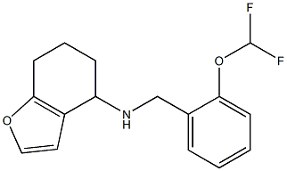 N-{[2-(difluoromethoxy)phenyl]methyl}-4,5,6,7-tetrahydro-1-benzofuran-4-amine Structure