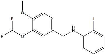 N-{[3-(difluoromethoxy)-4-methoxyphenyl]methyl}-2-iodoaniline 化学構造式