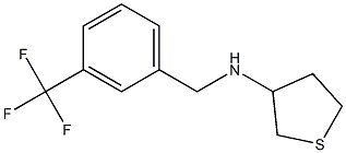 N-{[3-(trifluoromethyl)phenyl]methyl}thiolan-3-amine