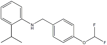 N-{[4-(difluoromethoxy)phenyl]methyl}-2-(propan-2-yl)aniline 化学構造式