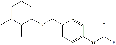 N-{[4-(difluoromethoxy)phenyl]methyl}-2,3-dimethylcyclohexan-1-amine Structure