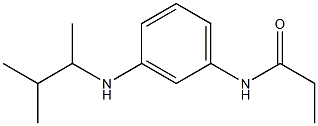 N-{3-[(3-methylbutan-2-yl)amino]phenyl}propanamide,,结构式