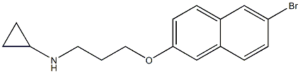 N-{3-[(6-bromonaphthalen-2-yl)oxy]propyl}cyclopropanamine,,结构式