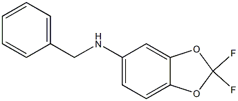 N-benzyl-2,2-difluoro-2H-1,3-benzodioxol-5-amine 化学構造式