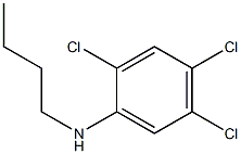 N-butyl-2,4,5-trichloroaniline 化学構造式