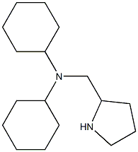 N-cyclohexyl-N-(pyrrolidin-2-ylmethyl)cyclohexanamine Struktur