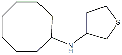 N-cyclooctylthiolan-3-amine 化学構造式