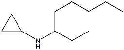 N-cyclopropyl-N-(4-ethylcyclohexyl)amine 化学構造式