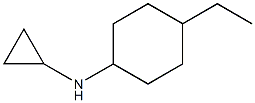  N-cyclopropyl-N-(4-ethylcyclohexyl)amine