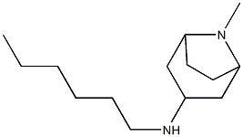 N-hexyl-8-methyl-8-azabicyclo[3.2.1]octan-3-amine 结构式