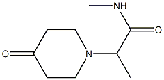 N-methyl-2-(4-oxopiperidin-1-yl)propanamide 化学構造式