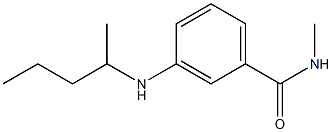 N-methyl-3-(pentan-2-ylamino)benzamide 结构式