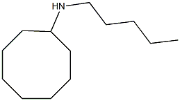 N-pentylcyclooctanamine 结构式