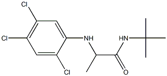 N-tert-butyl-2-[(2,4,5-trichlorophenyl)amino]propanamide 结构式