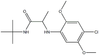 N-tert-butyl-2-[(4-chloro-2,5-dimethoxyphenyl)amino]propanamide,,结构式