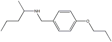 pentan-2-yl[(4-propoxyphenyl)methyl]amine Structure