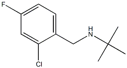 tert-butyl[(2-chloro-4-fluorophenyl)methyl]amine,,结构式