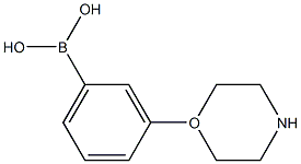 3-(吗啡啉-1-基)苯硼酸,,结构式