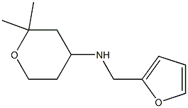  N-(2,2-dimethyltetrahydro-2H-pyran-4-yl)-N-(2-furylmethyl)amine