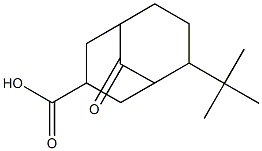6-tert-butyl-9-oxobicyclo[3.3.1]nonane-3-carboxylic acid 结构式