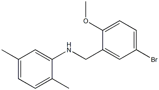 N-(5-bromo-2-methoxybenzyl)-N-(2,5-dimethylphenyl)amine Struktur