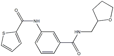 N-(3-{[(tetrahydrofuran-2-ylmethyl)amino]carbonyl}phenyl)thiophene-2-carboxamide