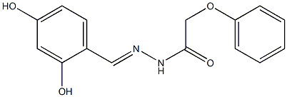 N'-[(E)-(2,4-dihydroxyphenyl)methylidene]-2-phenoxyacetohydrazide Structure