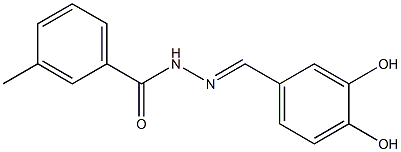 N'-[(E)-(3,4-dihydroxyphenyl)methylidene]-3-methylbenzohydrazide Structure