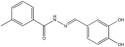 N'-[(E)-(3,4-dihydroxyphenyl)methylidene]-3-methylbenzohydrazide 结构式