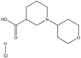 1-(tetrahydro-2H-pyran-4-yl)piperidine-3-carboxylic acid hydrochloride 化学構造式