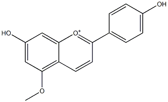 7,4'-Dihydroxy-5-methoxyflavylium Structure