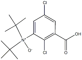 Di(1,1-dimethylethyl)amineN-oxide Structure