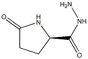 (2R)-5-Oxopyrrolidine-2-carbohydrazide,,结构式