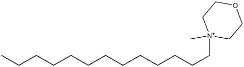 4-Methyl-4-tridecylmorpholinium Structure