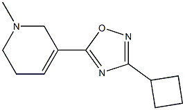 3-Cyclobutyl-5-[(1,2,5,6-tetrahydro-1-methylpyridin)-3-yl]-1,2,4-oxadiazole,,结构式