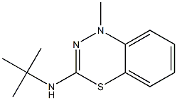 3-tert-Butylamino-1-methyl-1H-4,1,2-benzothiadiazine