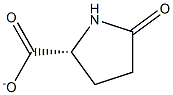 (5R)-2-Oxopyrrolidine-5-carboxylic acidanion,,结构式
