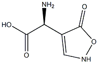 (S)-2-[(2,5-Dihydro-5-oxoisoxazol)-4-yl]-2-aminoacetic acid,,结构式