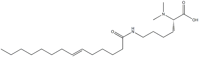 N6-(6-テトラデセノイル)-N2,N2-ジメチルリシン 化学構造式