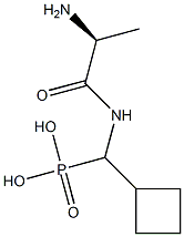 [(L-Alanylamino)(cyclobutyl)methyl]phosphonic acid