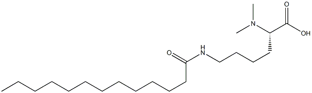 N6-トリデカノイル-N2,N2-ジメチルリシン 化学構造式