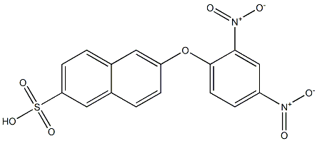  6-(2,4-Dinitrophenoxy)-2-naphthalenesulfonic acid