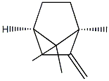 (1S,4R)-2-Methylenebornane|