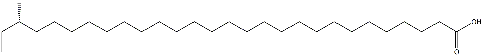 [S,(+)]-26-Methyloctacosanoic acid Struktur