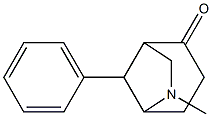 6-Methyl-2-oxo-8-phenyl-6-azabicyclo[3.2.1]octane Structure