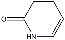 1,2,3,4-Tetrahydropyridine-2-one 结构式