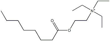 N,N,N-トリエチル-2-[(1-オキソオクチル)オキシ]エタンアミニウム 化学構造式